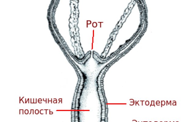 Кракен ат вход