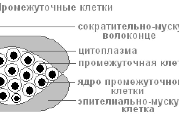 Ссылки в тор