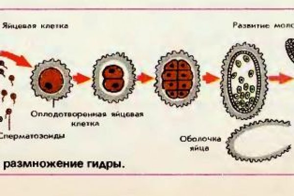 Кракен сайт зеркало рабочее