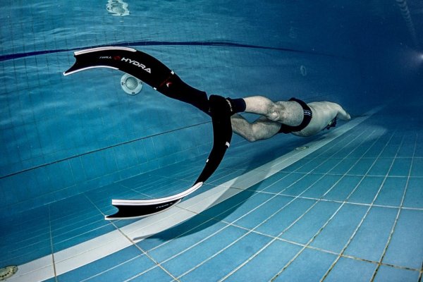 Короткая ссылка на кракен