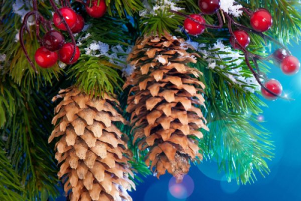 Кракен онион зеркала зеркало